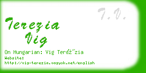 terezia vig business card